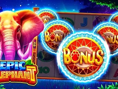 Daily Bonus Reward Collection
